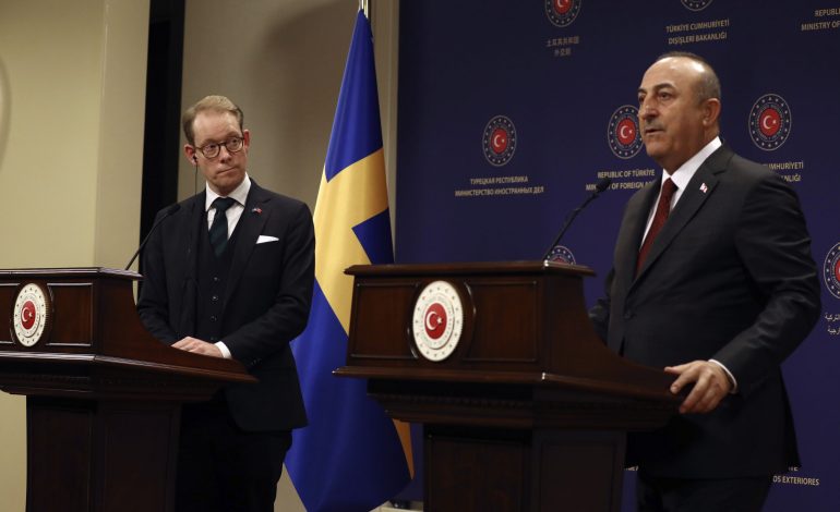 außenminister von schweden in der türkei