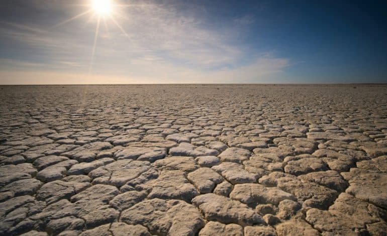 Rekorddürre und Hitzewellen: Türkei vor Klimastresstest
