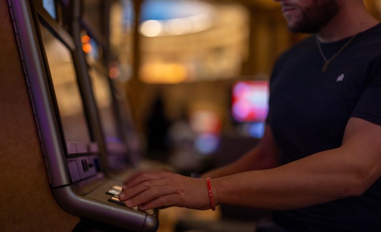 mountaindweller casino 8103408