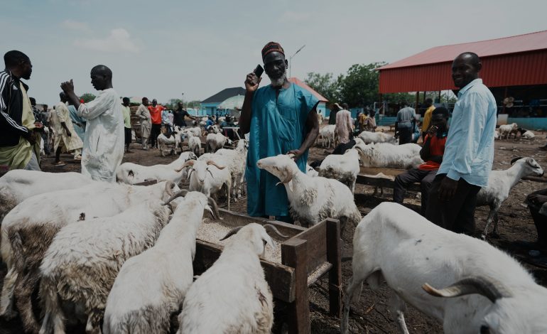 opferfest eid ul adha in nigeria